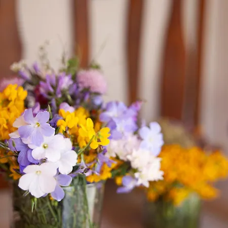 La Torreta De Aitana *